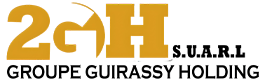 Groupe Guirassy Holding